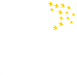 MAD - Conseiller en Gestion srl