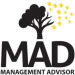 MAD - Management Advisor srl