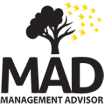 Vai al sito di management advisor