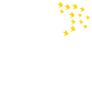 MAD Management Advisor