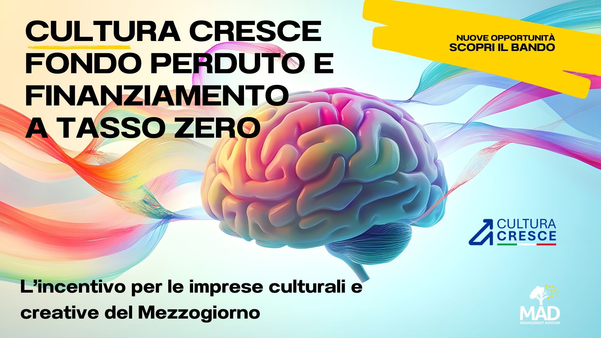 Incentivo cultura cresce